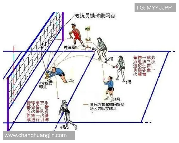 从零基础到排球高手：全面提升个人技能的实用指南